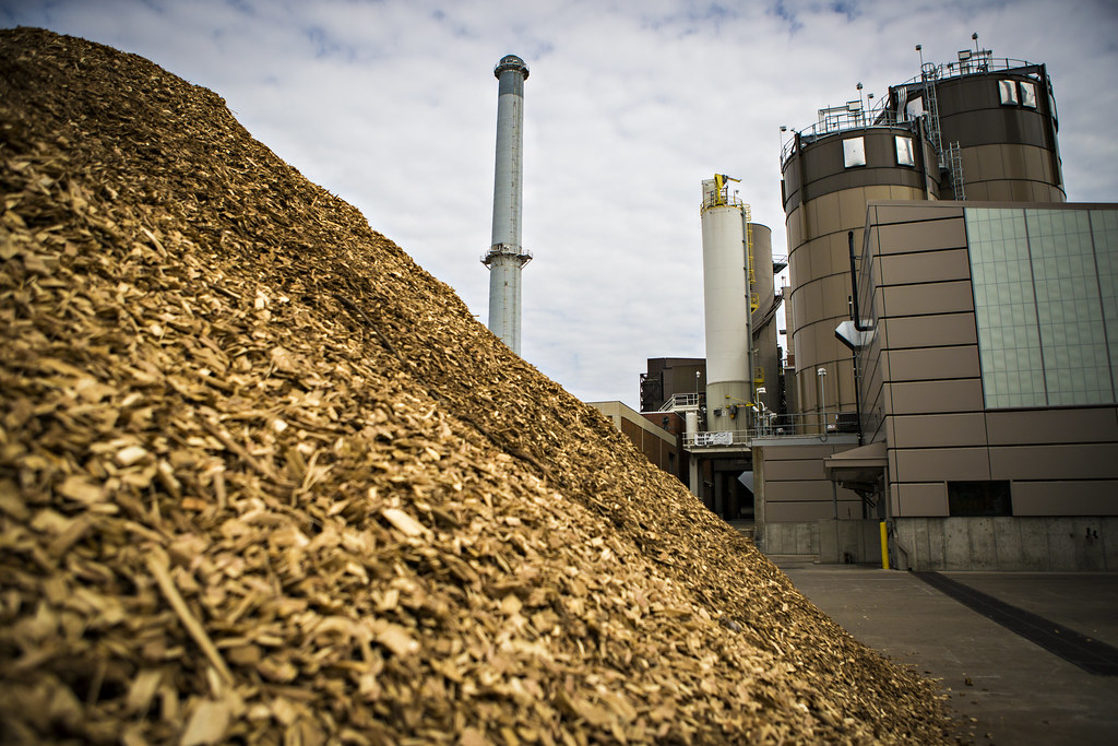 Woodchip production for power generation