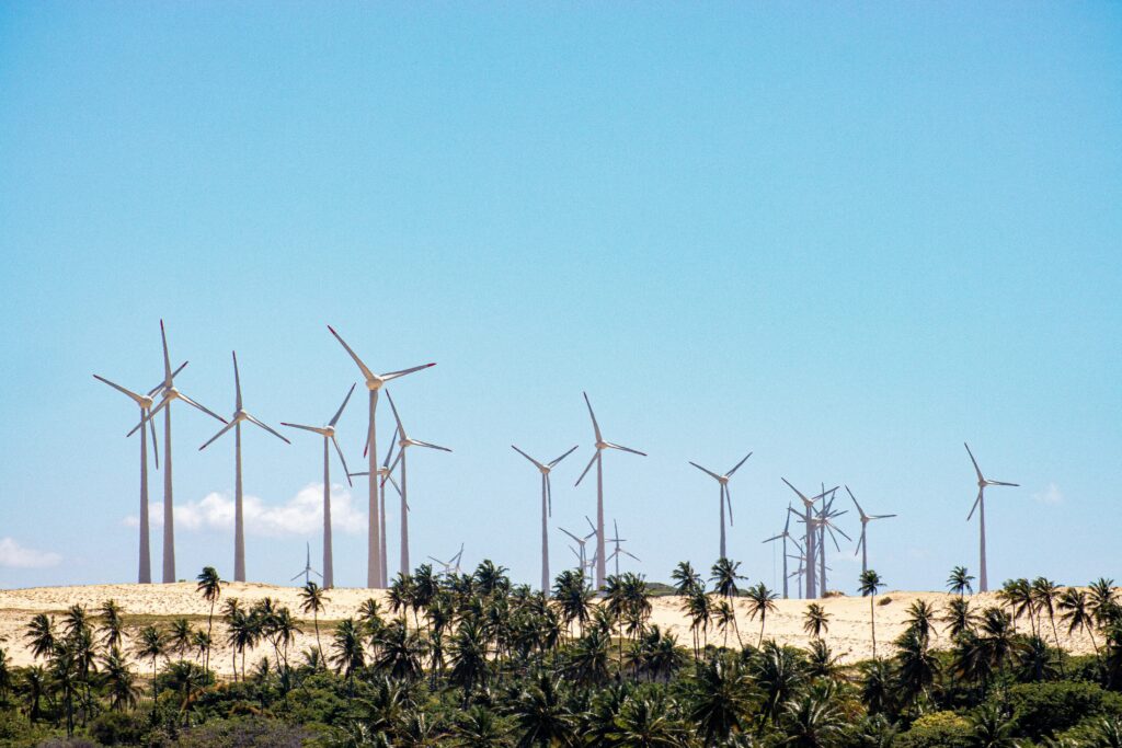 wind farms generate clean electricity